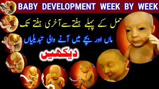 Baby Development Week By Week Pregnancy Week By Week Week By Week Pregnancy Symptoms Baby Growth