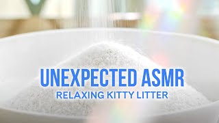 Unexpected Asmr For Cat Lovers