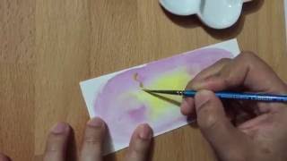 Finetec Arabic D Pearl Colour Review