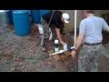 Ram Pump in Action!
