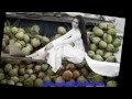 Hat Voi Than Tuong Tuan Vu 2012 Lk Nhac Song Ha Tay 2 image image for Hat Voi Than Tuong Tuan Vu 2012 Lk Nhac Song Ha Tay 2