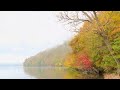 Beautiful Nature Beautiful Music〜Calming,Healing,Soothing 〜癒しの動画