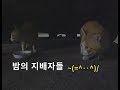 Download 밤에도, 그들은 그자리에서 생명을 이어 가고 있습니다. C= C=┌( `ー´)┘ 밤에도, 그들은 그자리에서 생명을 이어 가고 있습니다. C= C=┌( `ー´)┘