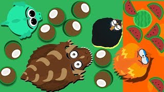 Mope Io The Fattest Dino Monster In Mope Im Playing With My Fans Game Bugs Mope Io The Fattest Dino Monster In Mope Im Playing With My Fans Game Bugs