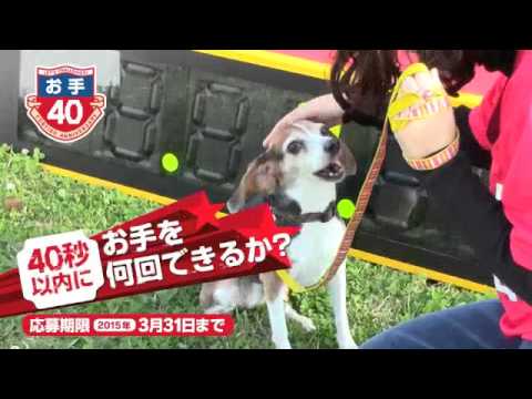 川商ハウスチャレンジ40 おもしろ篇