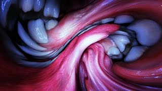 Björk: Mouth Mantra