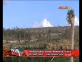 image Penggusuran Hutan Terindikasi Illegal Di Silat Hulu