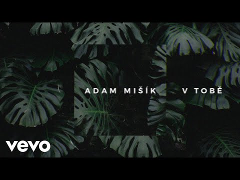 V Tobě Video