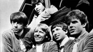 Watch Paul Revere  The Raiders There She Goes video