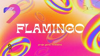 Flamingo Finance GENEL İNCELEME / TANITIM