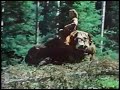 Buffalo