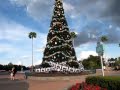 Christmas Tree at Disney's Hollywood Studios, Florida November 4