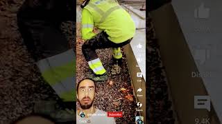 Pooping A Cement