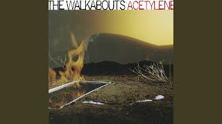 Watch Walkabouts Before This City Wakes video