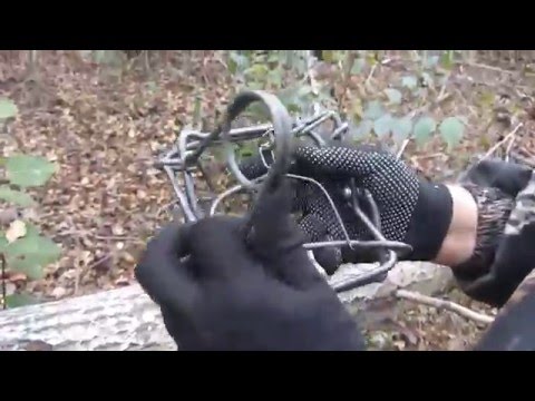 установка капканов для ловли норки видео установка капканов для ловли норки видео