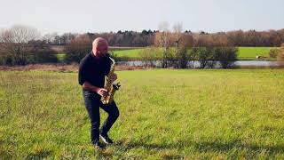 WILLOW Taylor Swift - Tonio Sax Cover