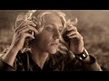 Video THAT NOISE - Willow Tree