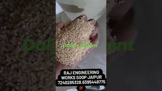 Full Automatic Dalya Palant