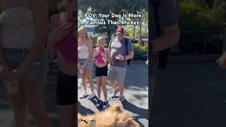 People Reacting To My Famous Dog At Disney World