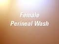 Vaginal, Female Perineal Wash PostCare™ Basic Center: