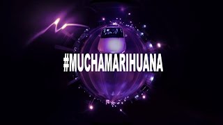 Watch Cartel De Santa Mucha Marihuana video