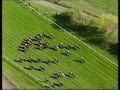 1999 Martell Grand National - Post Race Analysis