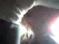 image Lhnl Perla Bailandoo Streptise