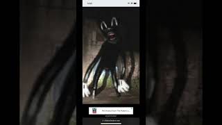 Herobrine Vs Cartoon Cat