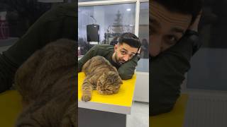Gördüğümüz En Saki̇n Beyefendi̇