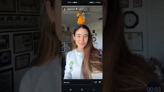 El Beat Box De Angie Varona Y Un Loro