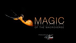 Magic Of The Macroverse