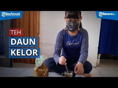 Siswi SD di Surabaya Buat Teh dari Daun Kelor, Sebut Vitamin C Lebih Besar