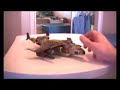 Transformers Cybertron Sky Shadow and Thundercracker Review
