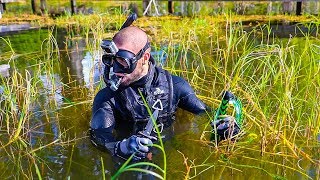 Treasure Hunting in SNAKE infested Lake!! (Secret Treasure) Treasure Hunting in SNAKE infested Lake!! (Secret Treasure)