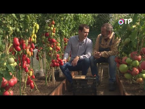 ПРАЙС - ЛИСТ ПРАЙС - ЛИСТ