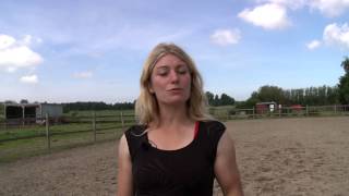 Freedom is at the core of When Horses Choose. Mia Lykke Nielsen.