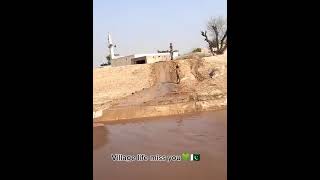 Desi Kids Playing In Rain