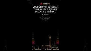 Hz. Mevlana I Anlamlı Sözler I Durum Sözleri I