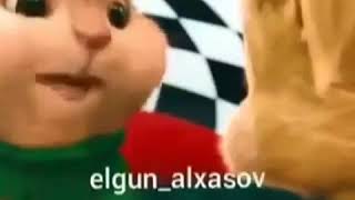 Naz Elme