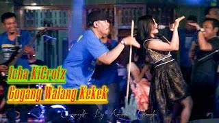 Goyang Walang Kekek Hitsnya Monata - Icha Kicrotz SAFANA #Video Viral Dangdut