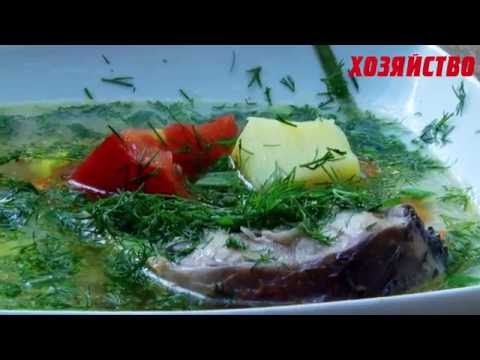 Царская уха из петуха от Олега Пахолкова Царская уха из петуха от Олега Пахолкова