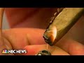 Experimental drug shows promise for marijuana addiction