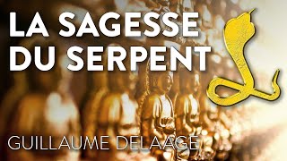 La Sagesse Du Serpent