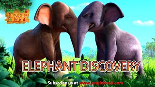 Elephant Discovery Jungle Book 2 Cartoon For Kids Jungle Book Mega Episode English Stories