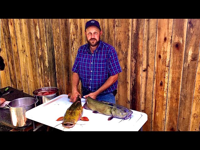Watch Flat Head vs. Channel Catfish  The differences! on YouTube.