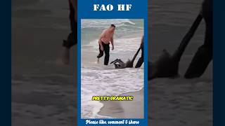 Rescuing A Drowning Kangaroo