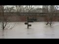 UK floods: Swans take over Worcester