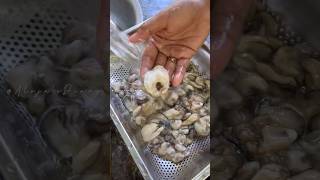 Cooking Oyster Filipino Recipe Adobong Talaba