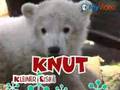 Knut Song