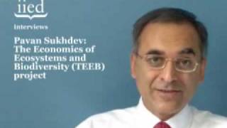 Iied Interviews Pavan Sukhdev On The Teeb Project